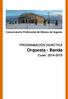 Conservatorio Profesional de Música de Segovia PROGRAMACIÓN DIDÁCTICA. Orquesta - Banda