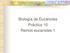 Biología de Eucariotes Práctica 10 Reinos eucariotes 1