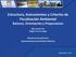 Estructura, Instrumentos y Criterios de Fiscalización Ambiental Balance, Orientación y Proyecciones