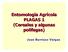 Entomología Agrícola PLAGAS 1 (Cereales y algunas polífagas) Juan Barriuso Vargas