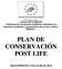 LIFE Project Number < LIFE07 NAT/E/ > < Restauración de pinares endémicos afectados por incendios forestales y recuperación de su flora y fauna