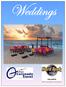 Hard Rock Puerto Vallarta 348habitaciones; En la playa; 6 restaurantes y 2 bares junto a la piscina
