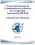 Grupo Internacional de Colaboración en la Gestión de la Seguridad Operacional (SM ICG) Términos de referencia