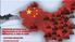 TENDENCIAS ACTUALES DE LA URBANIZACIÓN EN LAS ECONOMIAS EMERGENTES: EL CASO DE CHINA