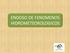 ENDOSO DE FENOMENOS HIDROMETEOROLOGICOS 17/10/2017 1