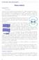 Marco teórico. Magnetismo. Campo magnético. Ley de Faraday: Inducción electromagnética. -Los imanes.