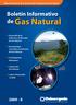 Boletín Informativo de Gas Natural