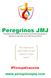 Peregrinos JMJ. Propuesta mexicana de recaudación de fondos para apoyar a jóvenes en participar en la JMJ Cracovia 2016