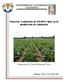 Proyecto: Evaluación de VIUSID Agro en la producción de calabacita