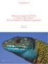 Capítulo II. Nuevas categorías UICN, y Ficha Libro Rojo de los Anfibios y Reptiles españoles