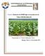 Proyecto: Evaluación de VIUSID-Agro en la producción de Tabaco (Nicotina tabacum) Responsable: Dr. Ranferi Maldonado Torres