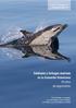 Cetáceos y tortugas marinas. en la Comunitat Valenciana 20 años de seguimiento. Treballs tècnics de Biodiversitat. nº 3