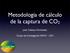 Metodología de cálculo de la captura de CO2