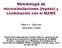 Metodología a de microsimulaciones (repaso) y combinación n con el MAMS