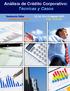 Análisis de Crédito Corporativo: Técnicas y Casos. Seminario-Taller 12, 14, 19 y 21 Agosto 2013