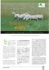 Pastoreo de ovino en ecológico en los Secanos Semiáridos de la Ribera de Navarra