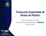 Producción Sustentable de Bolsas de Plástico. Informe de Avances Industriales de la Bolsa Plástica AC (inboplast) Febrero de 2016