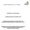 INFORME Nº 21/2013/DFEP/CNE COMISION NACIONAL DE ENERGIA (CNE)