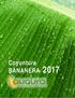 COYUNTURA BANANERA 2017