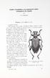 Cuatro novedades y un comentario sobre coleópteros de España