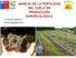 MANEJO DE LA FERTILIDAD DEL SUELO EN PRODUCCIÓN AGROECOLÓGICA M. Cecilia Céspedes L.