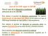 Usos de los OGM -según la LBOGM- Para el caso de la liberación al ambiente (artículos 42 al 59 LBOGM)