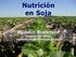 Nutrición en Soja. Agustín Bianchini Diagnóstico Rural