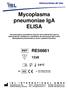 Mycoplasma pneumoniae IgA ELISA