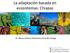 La adaptación basada en ecosistemas: Chiapas. Dr. Marco Antonio Altamirano González Ortega