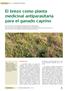 El brezo como planta medicinal antiparasitaria para el ganado caprino