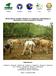 Informe final de resultados obtenidos en el Diagnostico Epidemiológico y Reproductivo en hatos de ganado de Occidente