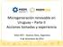 Microgeneración renovable en Uruguay Parte II Acciones tomadas y experiencia. Taller INTI Buenos Aires, Argentina 4 de diciembre de 2012