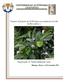 Proyecto: Evaluación de VIUSID-Agro en la producción de Café (Coffea arabica L.) Responsable: Dr. Ranferi Maldonado Torres