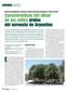 Características del olivar de los valles áridos del noroeste de Argentina