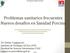 Problemas sanitarios frecuentes Nuevos desafíos en Sanidad Porcina