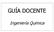 GUÍA DOCENTE. Ingeniería Química