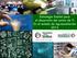 Estrategia Estatal para el desarrollo del sector de TI En el estado de Aguascalientes 2014