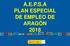A.E.P.S.A PLAN ESPECIAL DE EMPLEO DE ARAGÓN 2018