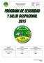 PROGRAMA DE SEGURIDAD Y SALUD OCUPACIONAL