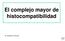 El complejo mayor de histocompatibilidad. Dr. Norberto W. Zwirner