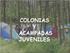 COLONIAS Y ACAMPADAS JUVENILES