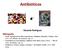 Antibióticos Eduardo Rodriguez Bibliografía