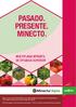PASADO. PRESENTE. MINECTO.