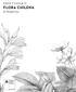 PINTA Y CALCA IV FLORA CHILENA. de Claudio Gay