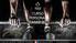 El fundador del gimnasio en Chile es Don Marcos Cafena, cuyo sueño de comenzar una escuela para formar Personal Trainers comenzó hace 15 años.