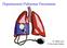 Hipertensión Pulmonar Persistente. Dr. Matías Luco P. Universidad Católica