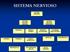 SISTEMA NERVIOSO SISTEMA NERVIOSO SISTEMA NERVIOSO CENTRAL SISTEMA NERVIOSO PERIFERICO AUTONOMO (INVOLUNTARIO) MEDULA ESPINAL PARASIMPATICO