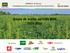 AMÉRICA. El Recreo Estrategias químicas para el control de Amaranthus Grupo de acción agrícola ROA