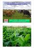 El rol de la alfalfa en la intensificación n de los sistemas ganaderos lecheros