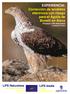 EXPERIENCIA: Corrección de tendidos eléctricos con riesgo para el Águila de Bonelli en Álava Proyecto LIFE-Naturaleza (LIFE00NAT/E/7336)